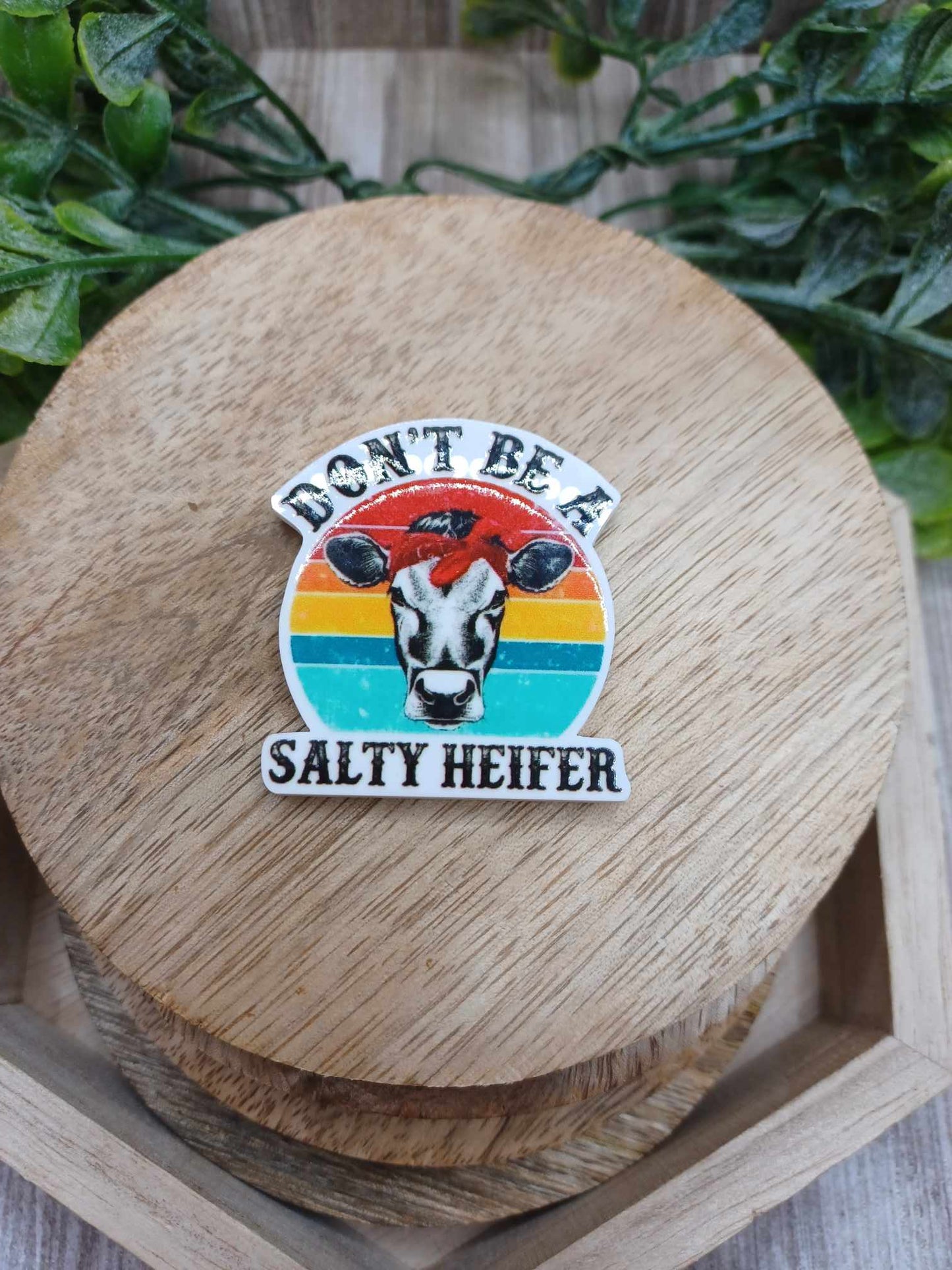 Don't Be a Salty Heifer Magnet