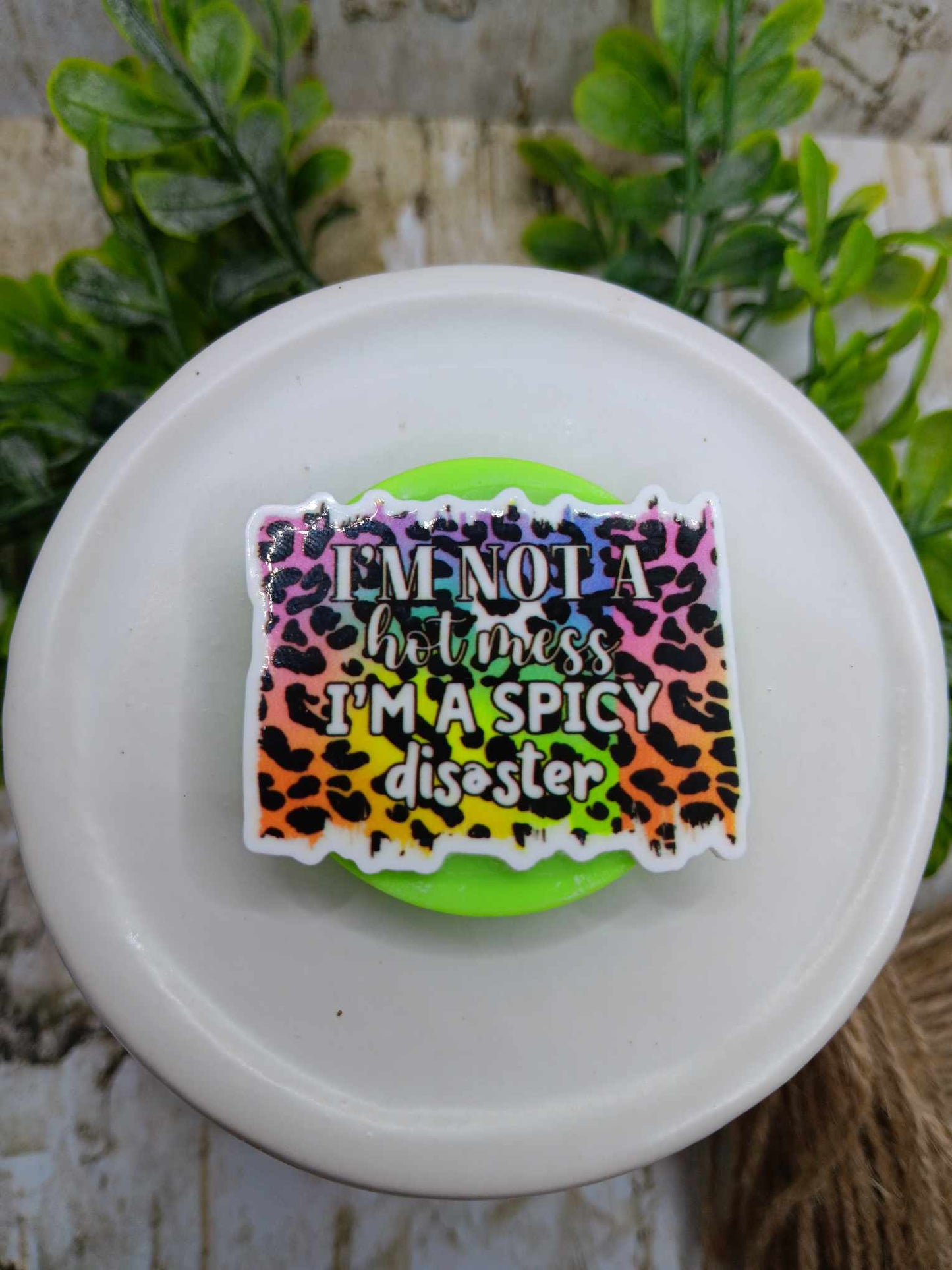 I'm not a hot mess, I'm a Spicy Disaster Leopard Mobile Phone Accessory