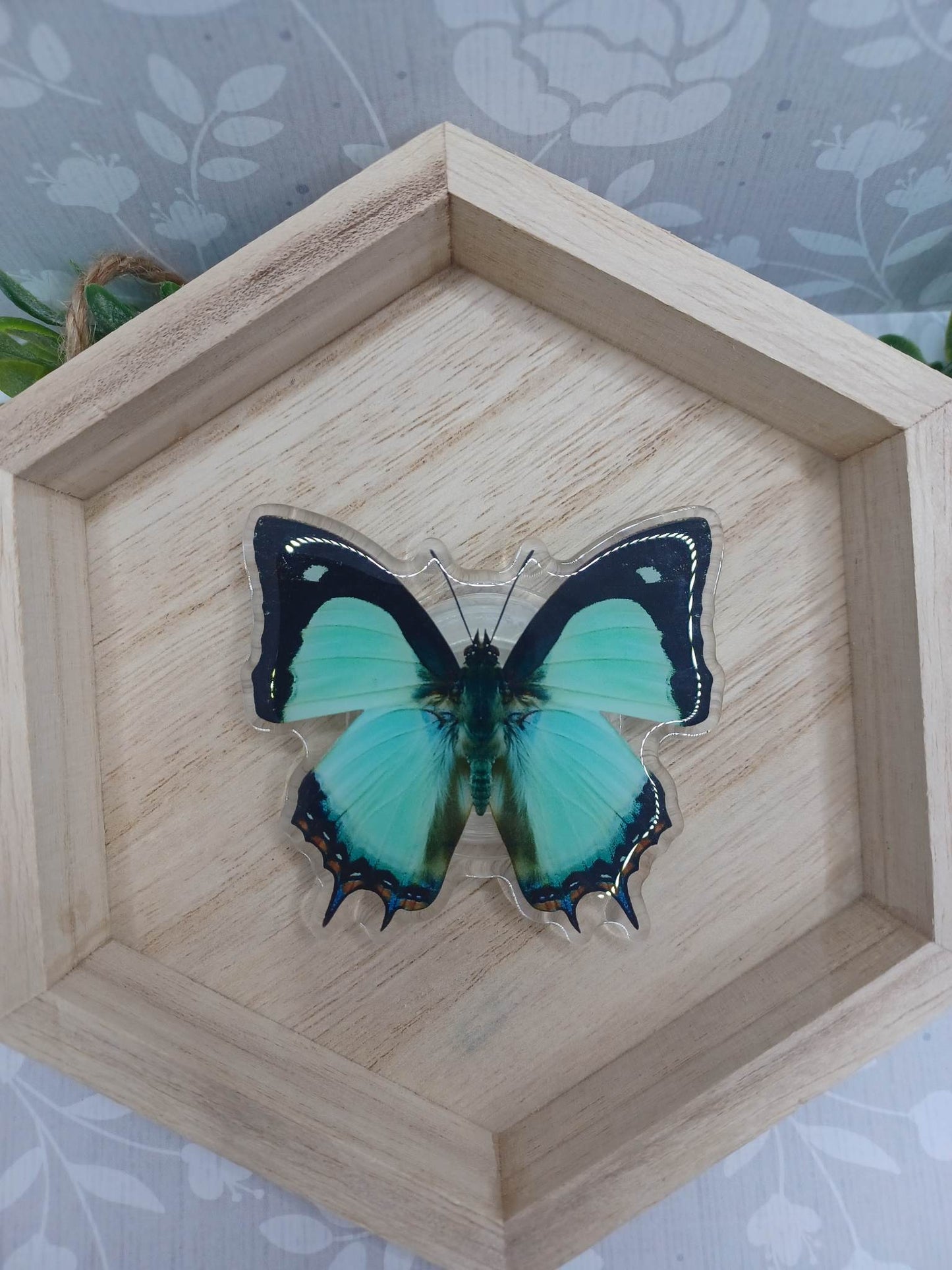 Green Butterfly Mobile Phone Grip Accessory