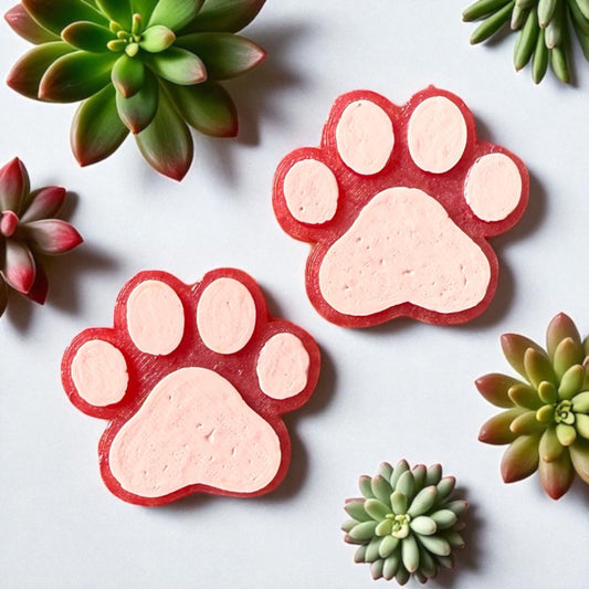 PREORDER - Pink Paw Magnet Set