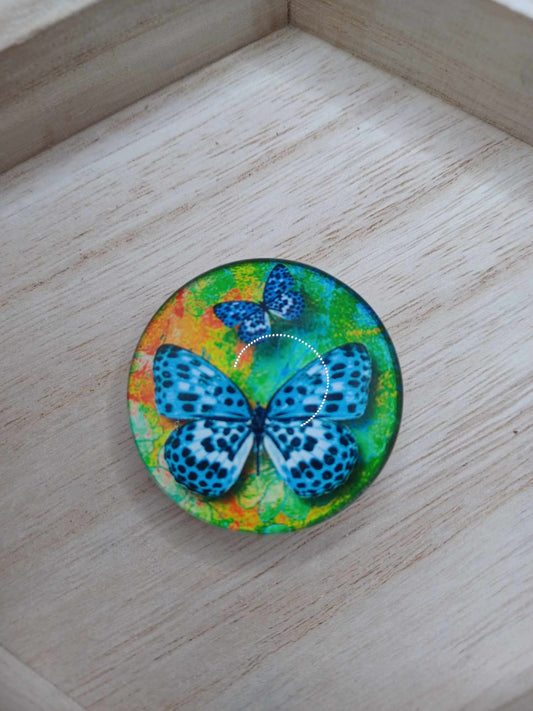 Green Butterfly Phone Grip Mobile Phone Accessory