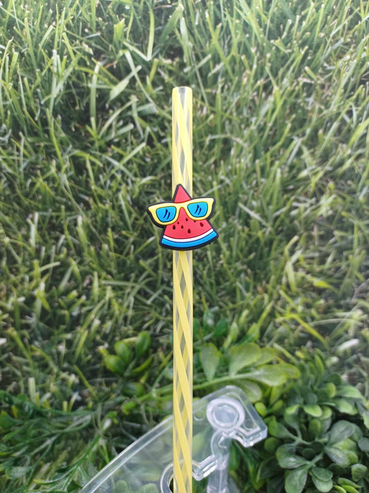 Watermelon Straw Charm w/ Yellow Straw