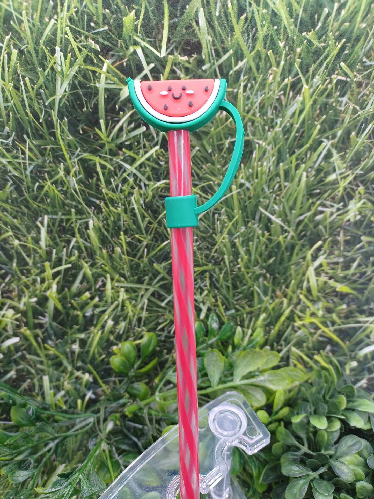 Watermelon Straw Topper w/ Pink Straw