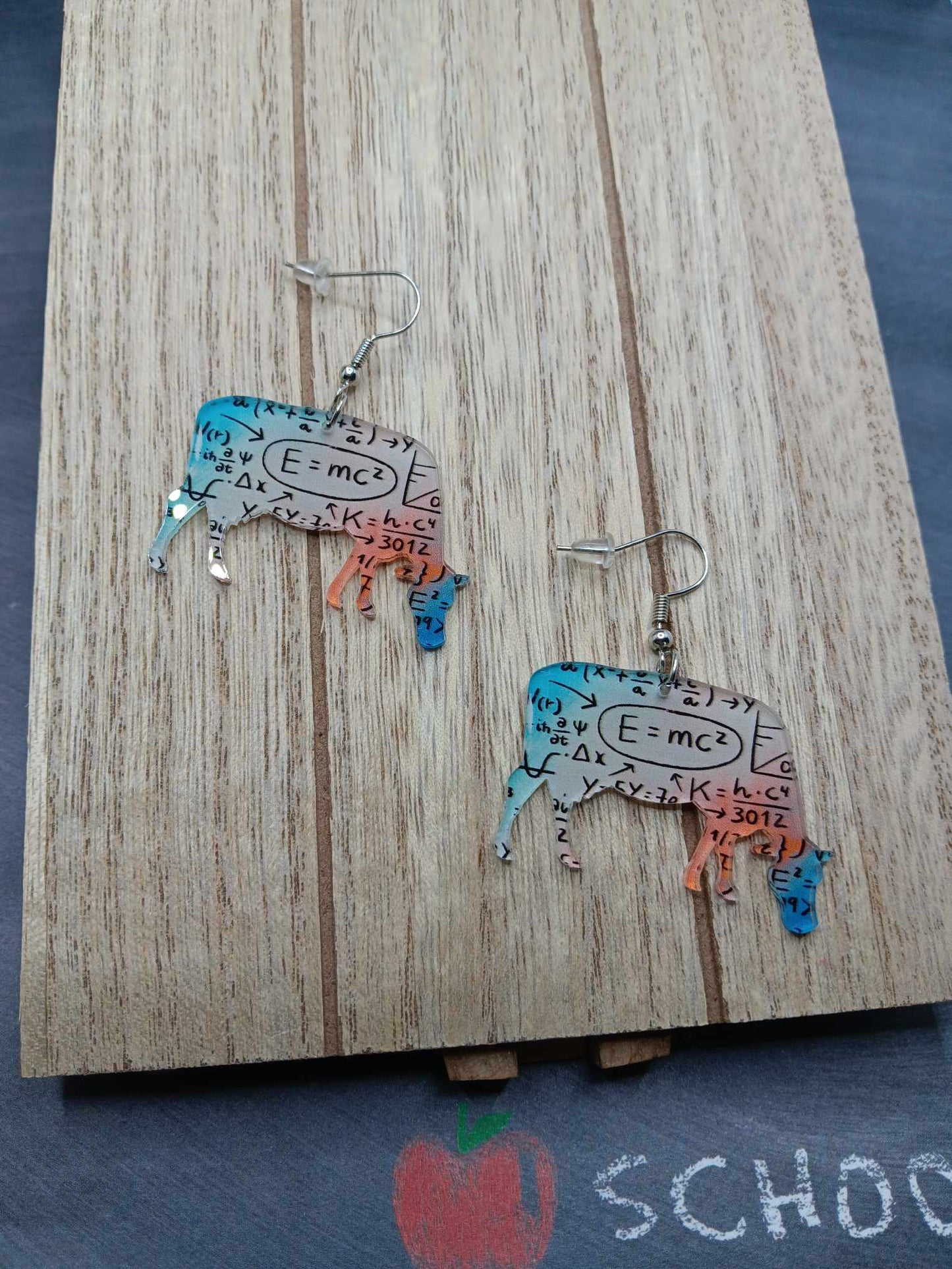 Math Themed Earrings