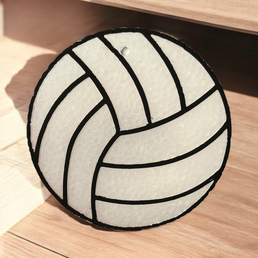 PREORDER - Volleyball Freshie
