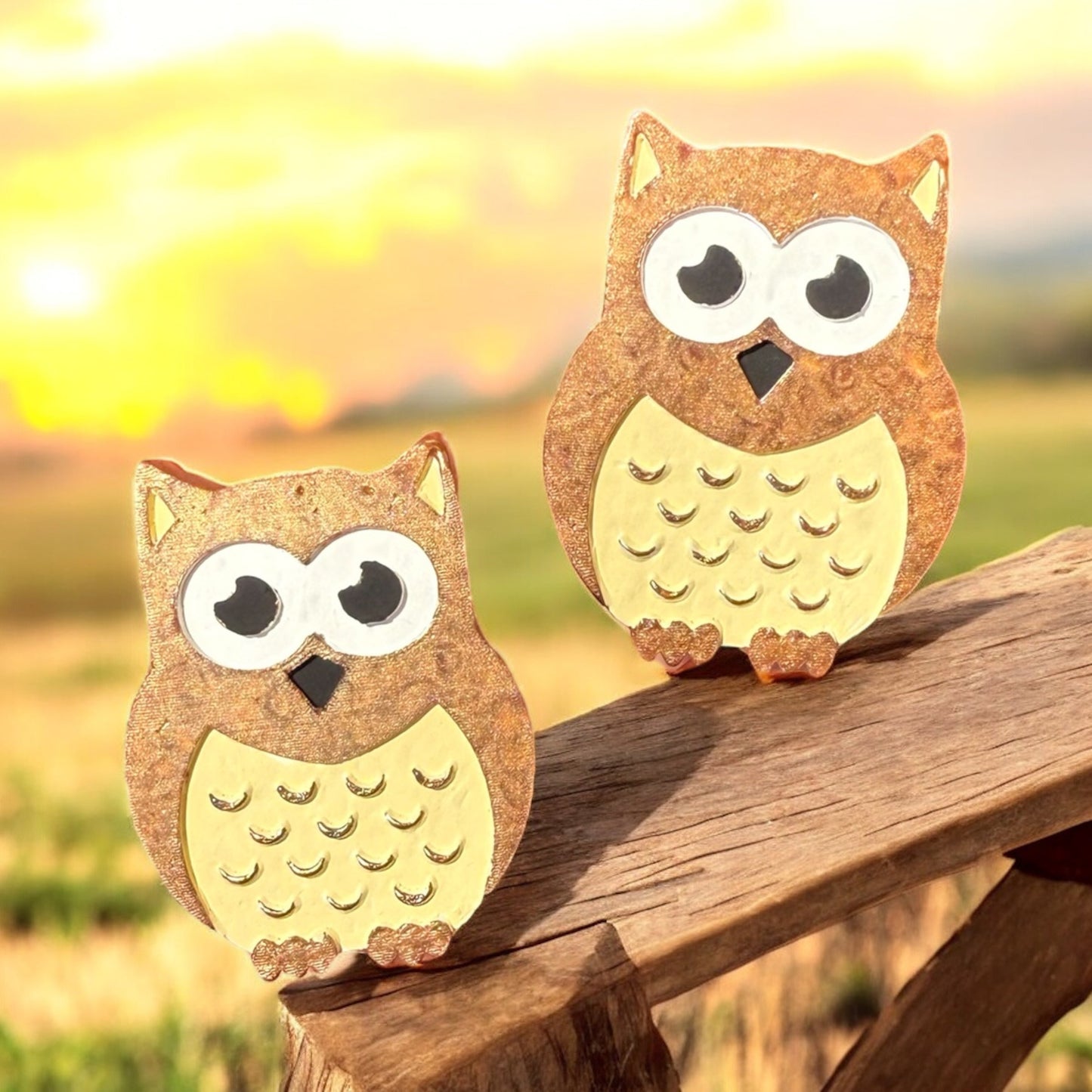 PREORDER - Owl Vent Clip Set