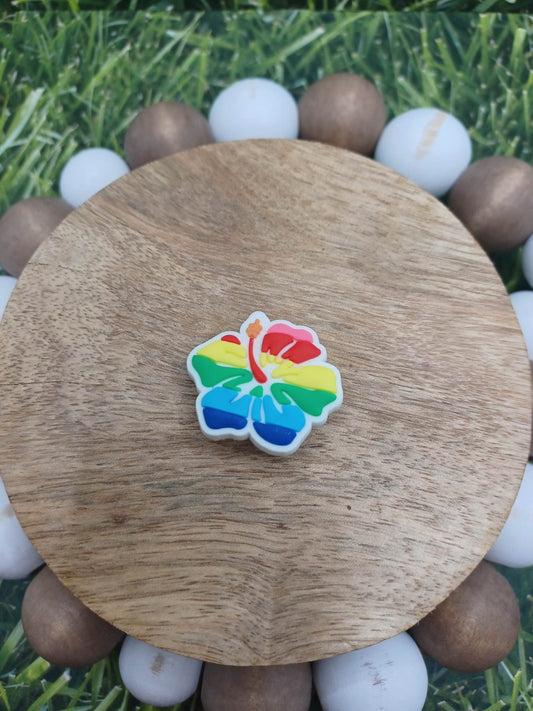 Rainbow Flower Shoe Charm Accessory