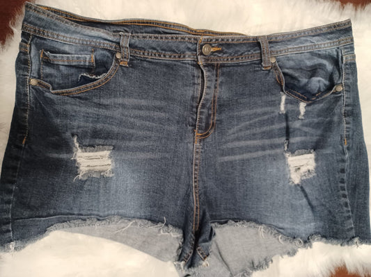 Blue Jean Shorts - Size 24