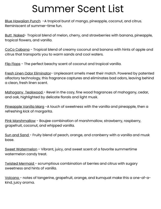 PREORDER - Boot Stampin' Americana Freshie